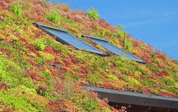 Elm Park living roof systems